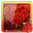 icon Rose Photo Frames 1.6