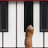 icon Dog Piano 2.4