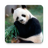 icon HD Pandas Wallpapers 5.4