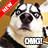 icon Funny Dog Pictures 1.9