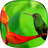 icon Birds Live Wallpaper 2.5