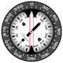 icon Compass PRO