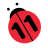 icon n11 14.1.1