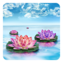 icon Lotus Live Wallpaper