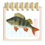 icon com.WebAndPrint.FishCalendar