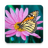 icon Butterflies Live Wallpaper 1.0.9