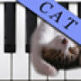 icon CatPiano