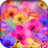 icon Beautiful Flowers HD WallpapAG 1.0