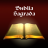 icon by.nsource.prj_biblia_aa 2.7