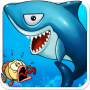 icon Shark Fever