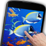 icon Aquarium Live Wallpaper