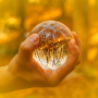 icon Sacred forestPsychic