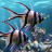 icon The real aquariumfree 2.37