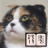 icon jp.aboutsoft.android.bunkoreader 0.59