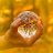 icon Sacred forestPsychic 1.0.6