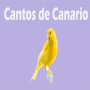 icon Canario