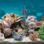 icon 3D Aquarium Live Wallpaper
