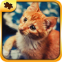 icon Cat Puzzles