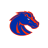 icon Broncos 172.0.1