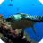 icon Sea Turtle Live Wallpaper 14.0