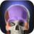 icon Anatomyka Atlas 3.1.0