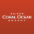 icon Coral Ocean 7.0.0