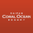icon Coral Ocean 10.9.5