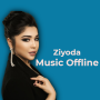 icon ZIyoda